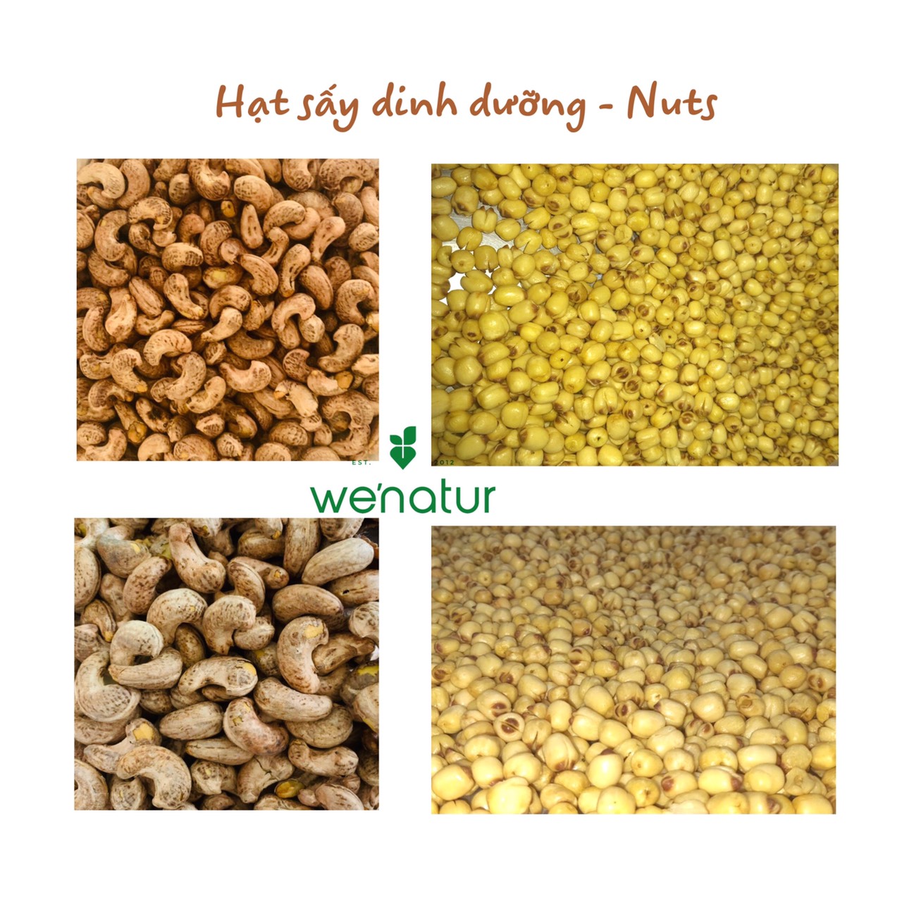 Hình ảnh thực tế sản phẩm hạt sen sấy tại we'natur